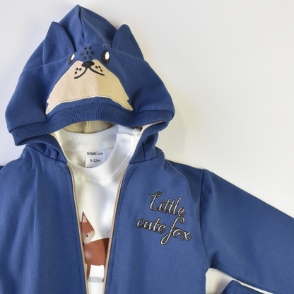 Cute Fox Boys Hoodie Set-3
