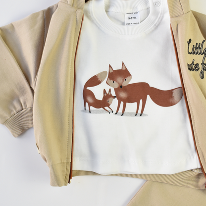 Cute Fox Boys Hoodie Set-4