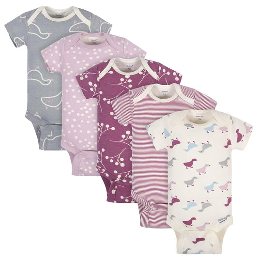 Grow by Gerber Baby Girls 5-Pack Short-Sleeve Onesies Bodysuits Grey/Pink/Ivory 3-6 Months