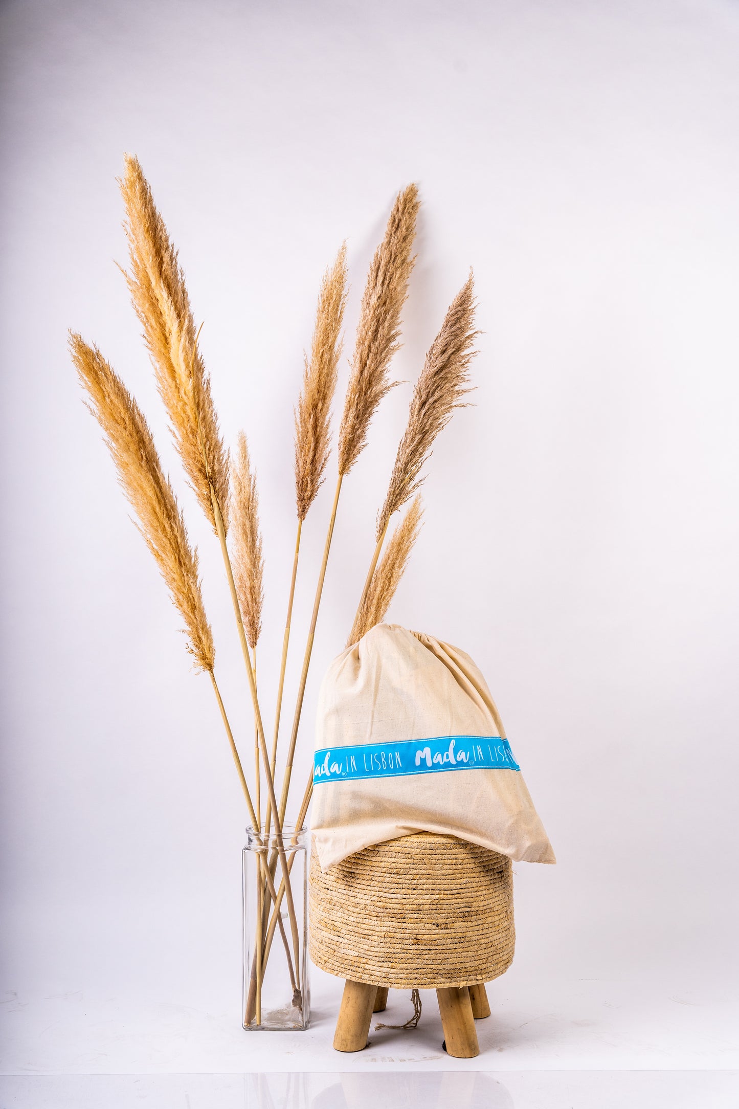 Pink Stripes BabySwing