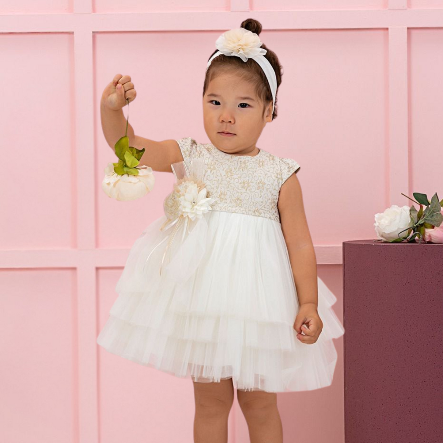 Royal Whispers Formal Baby Dress